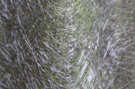 Bushmoor fibreglass roof work